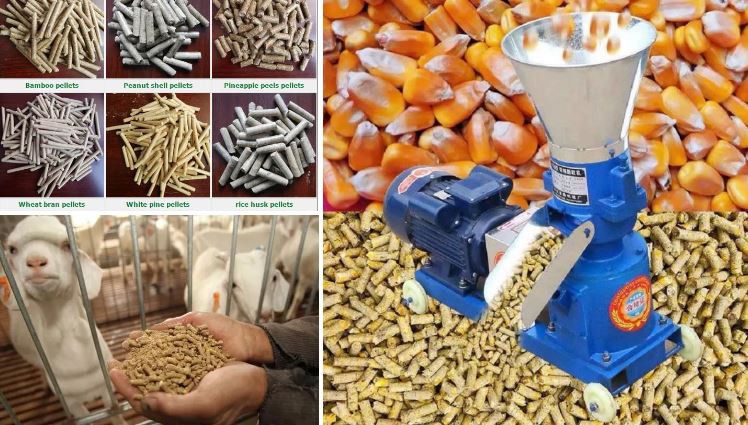 1649236707(1) 1649236707(1)