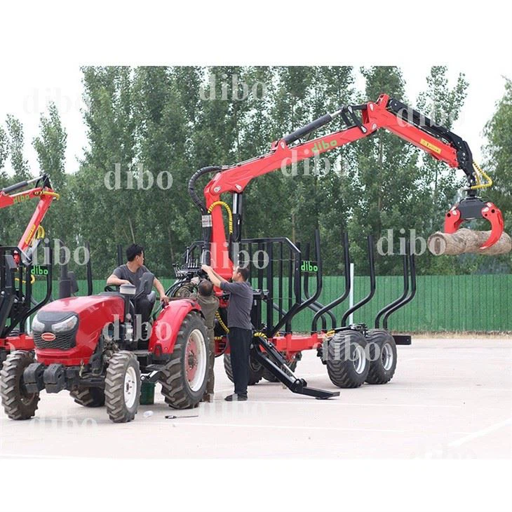 Log Grapple Loader Crane